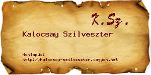 Kalocsay Szilveszter névjegykártya